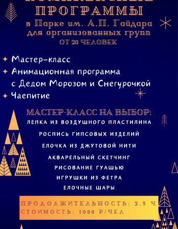 Новогодние Групповые МК 2026