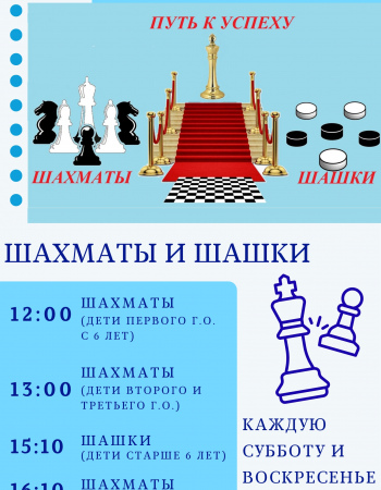 Шахматы